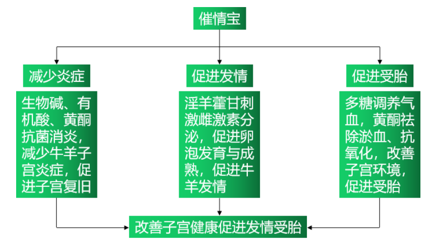 九游会J9