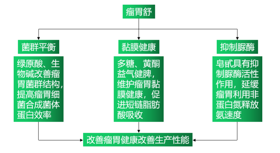 九游会J9