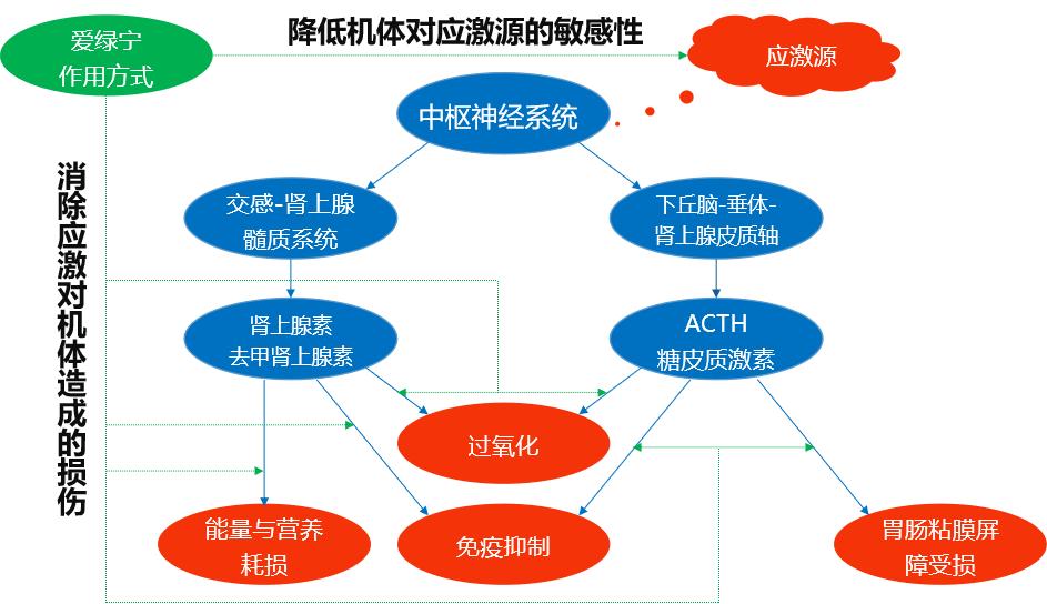 九游会J9