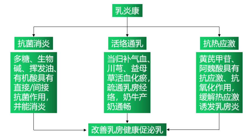 九游会J9