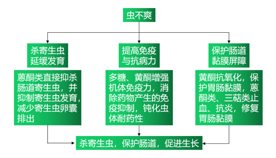 九游会J9