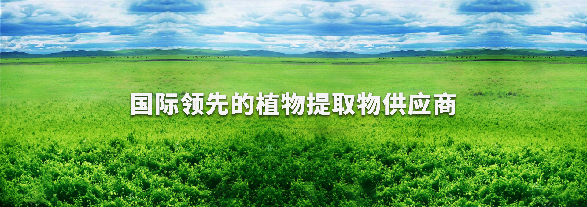九游会·J9(中国游)集团官网-真人游戏第一品牌