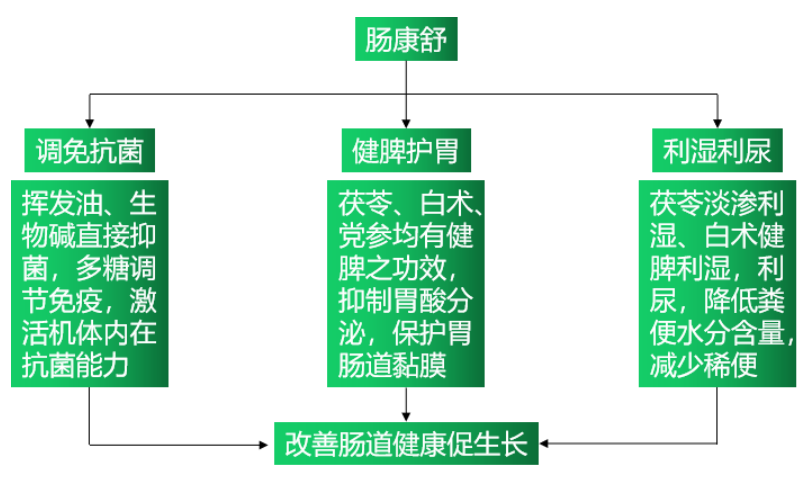 九游会J9