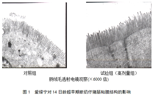 九游会J9