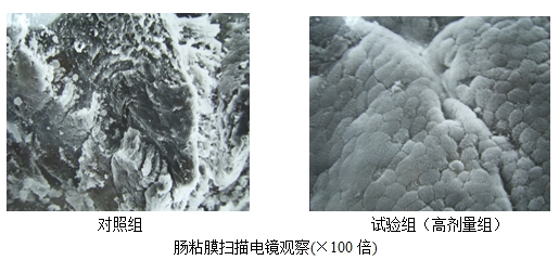 九游会J9