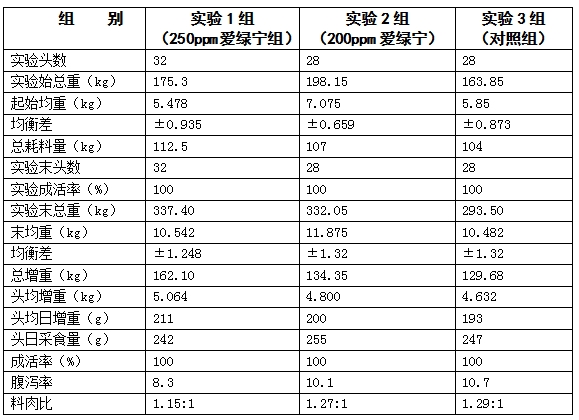 九游会J9