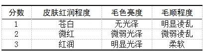 九游会J9