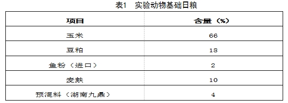 九游会J9