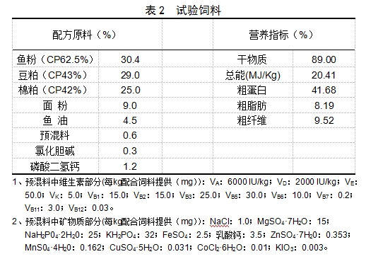 九游会J9