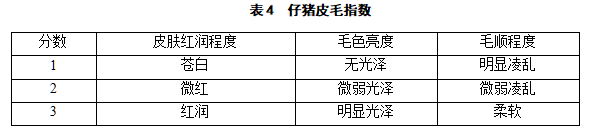 九游会J9