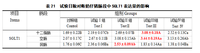 九游会J9