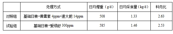 九游会J9