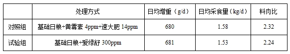 九游会J9