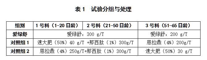 九游会J9