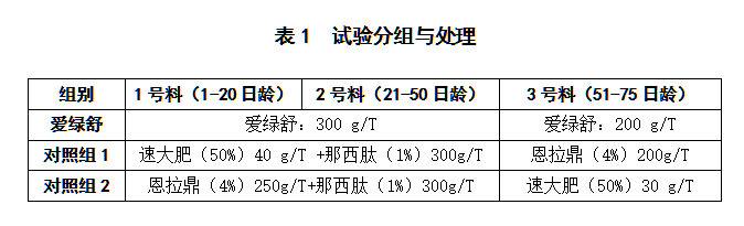 九游会J9