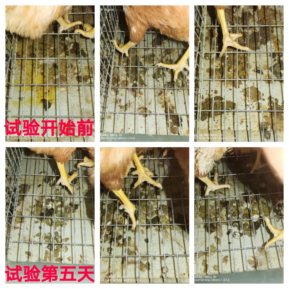 九游会J9