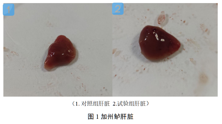 九游会J9