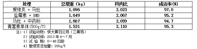九游会J9
