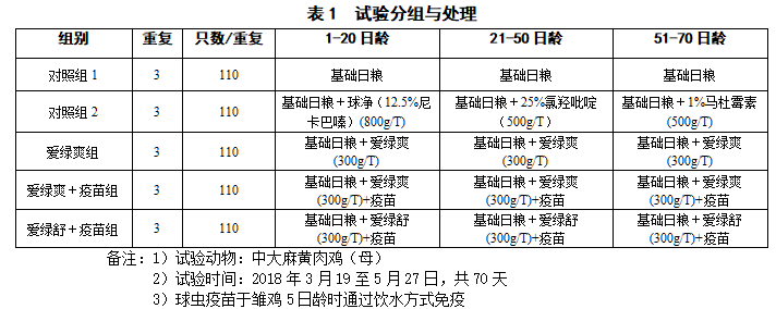 九游会J9