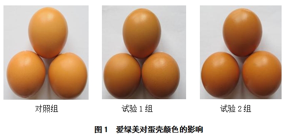九游会J9