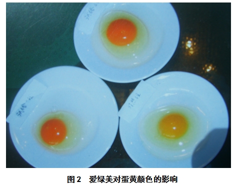 九游会J9