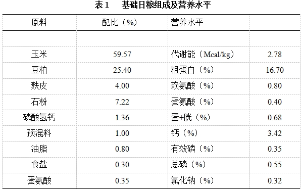 九游会J9