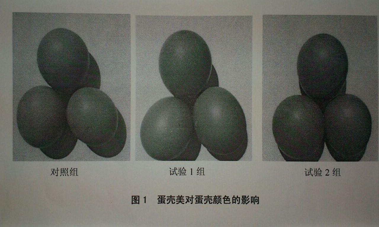 九游会·J9(中国游)集团官网-真人游戏第一品牌