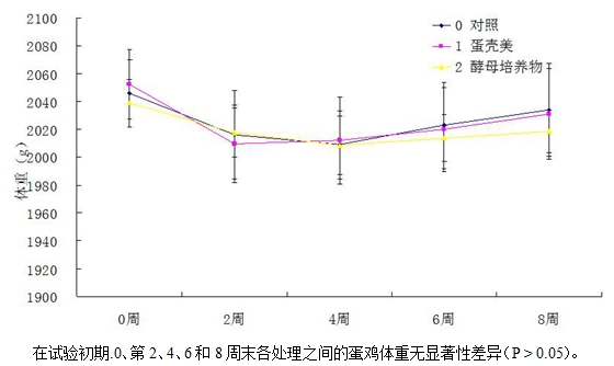 九游会J9