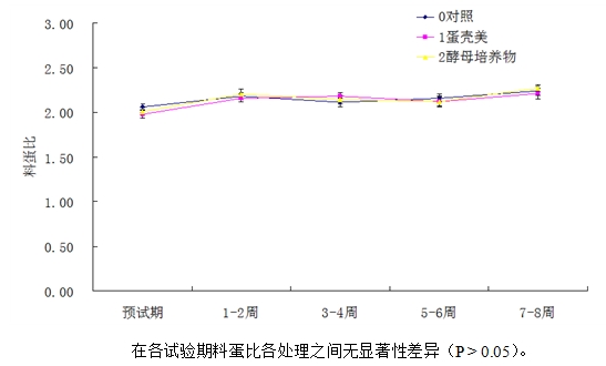 九游会J9