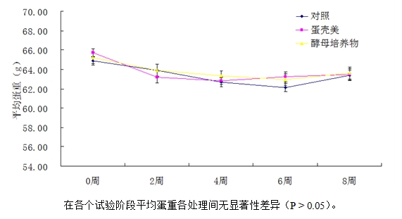 九游会J9