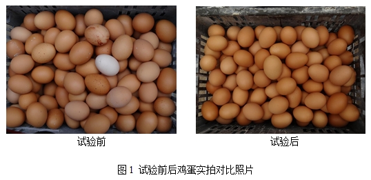 九游会J9