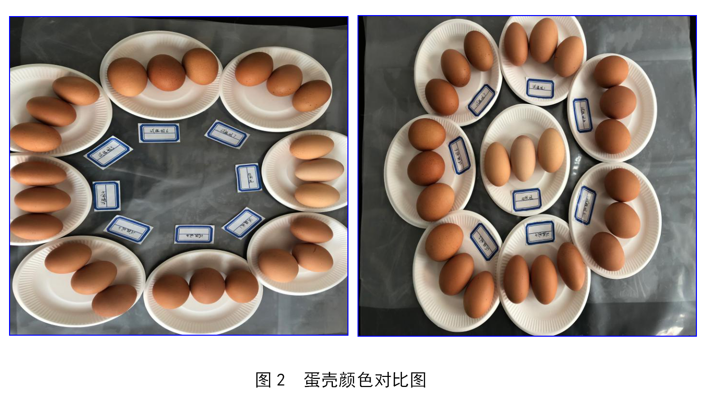 九游会·J9(中国游)集团官网-真人游戏第一品牌