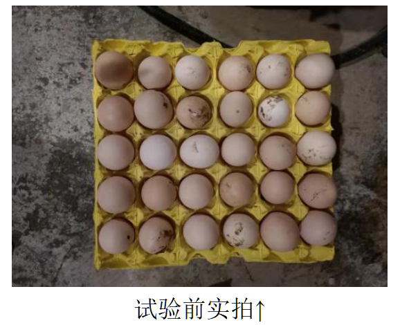 九游会·J9(中国游)集团官网-真人游戏第一品牌