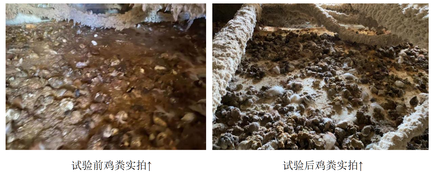 九游会·J9(中国游)集团官网-真人游戏第一品牌
