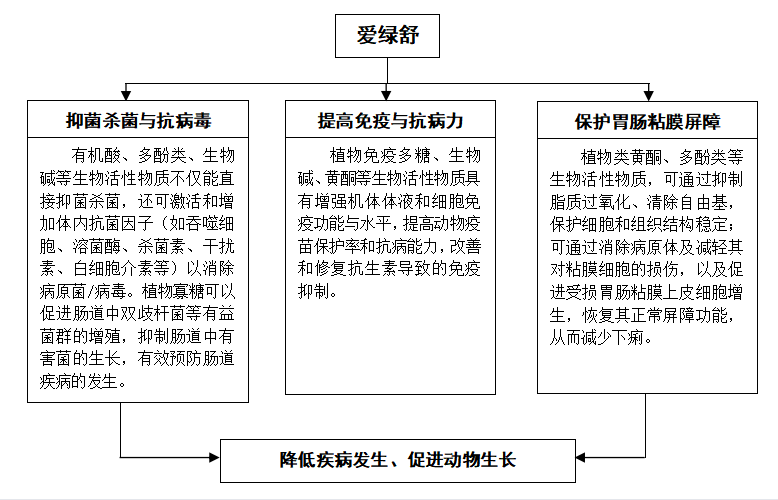 九游会J9