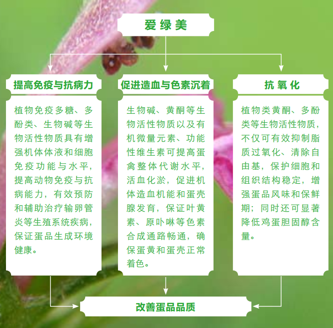 九游会J9