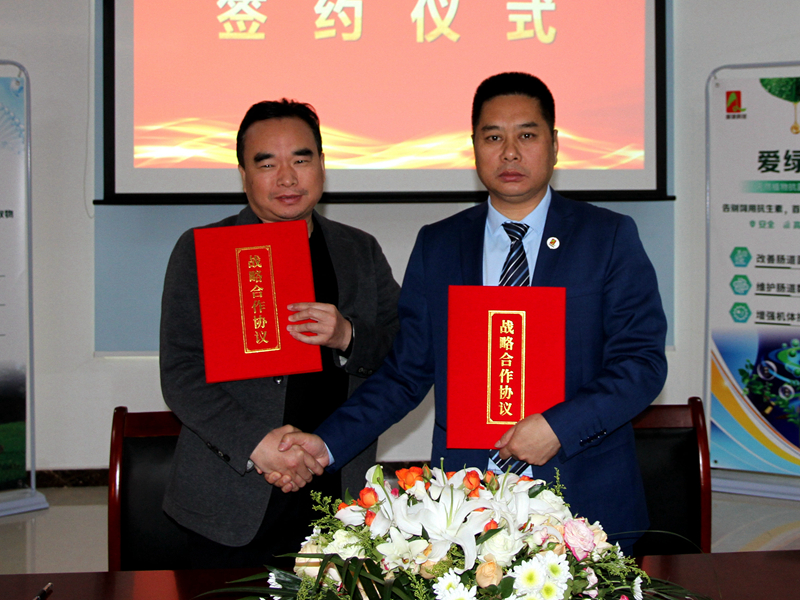 九游会J9
