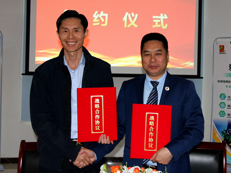 九游会J9