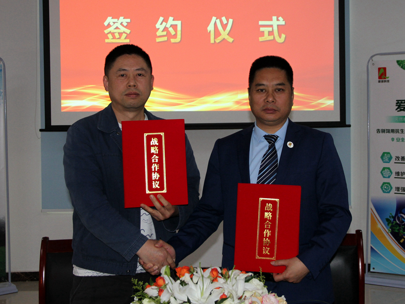 九游会J9