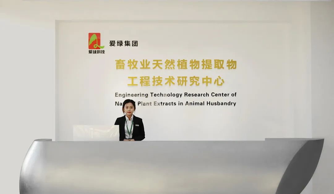 九游会J9