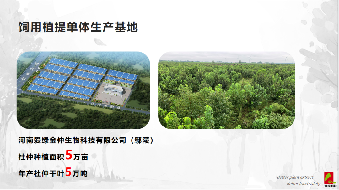 九游会·J9(中国游)集团官网-真人游戏第一品牌